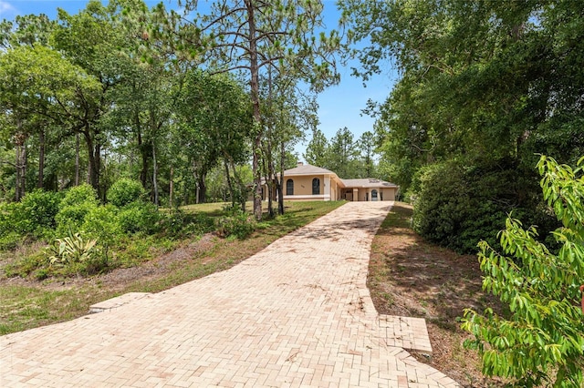 9180 SW 202nd Avenue Rd, Dunnellon, FL 34431 - view of front facade with decorative driveway