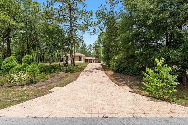 9180 SW 202nd Avenue Rd, Dunnellon, FL 34431 - view of front of house featuring decorative driveway