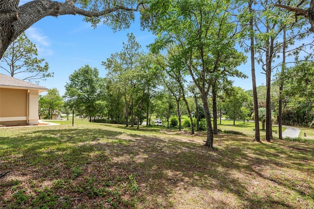 9180 SW 202nd Avenue Rd, Dunnellon, FL 34431 - view of grassy yard