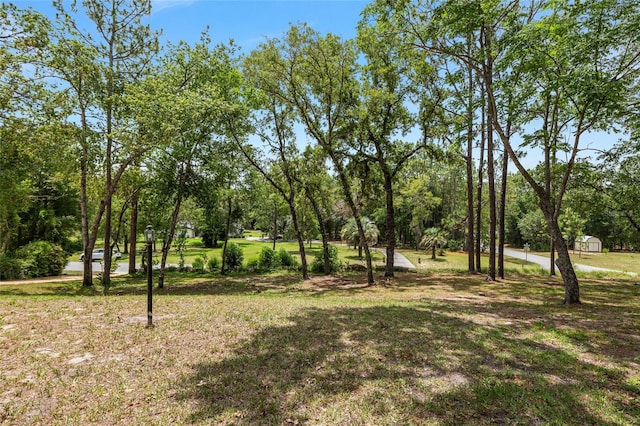 9180 SW 202nd Avenue Rd, Dunnellon, FL 34431 - view of green lawn with a shed