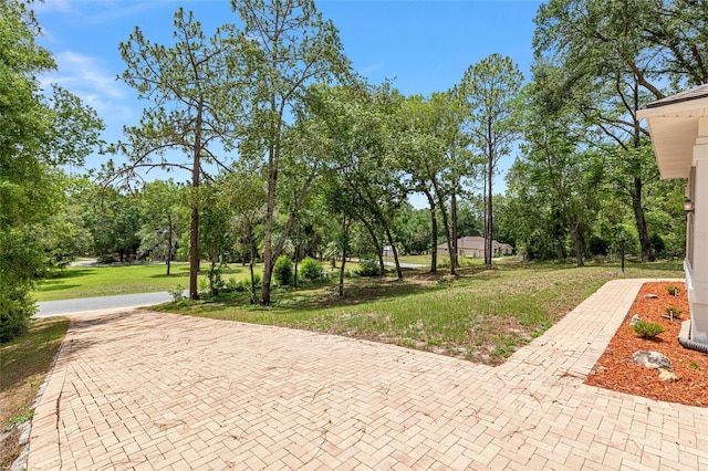 9180 SW 202nd Avenue Rd, Dunnellon, FL 34431 - view of grassy yard featuring view of scattered trees