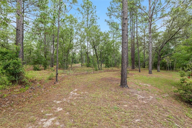 9180 SW 202nd Avenue Rd, Dunnellon, FL 34431 - view of yard with a wooded view