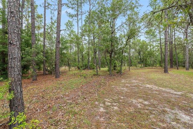 9180 SW 202nd Avenue Rd, Dunnellon, FL 34431 - view of nature