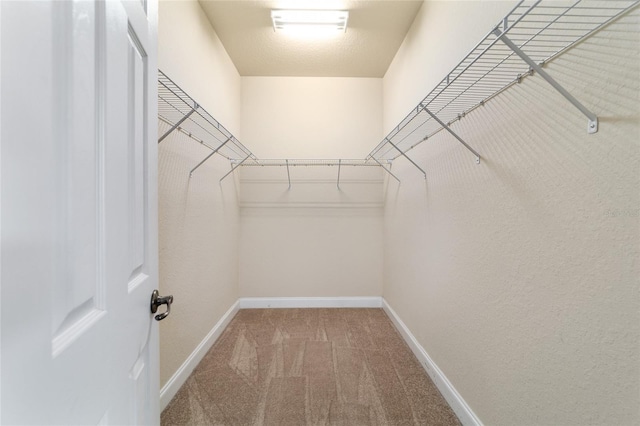 2127 NE 38th Ter, Ocala, FL 34470 - walk in closet with carpet flooring