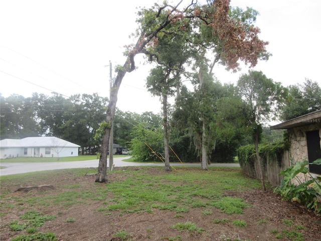 6141 NW 64th Ct, Ocala, FL 34482 - view of yard