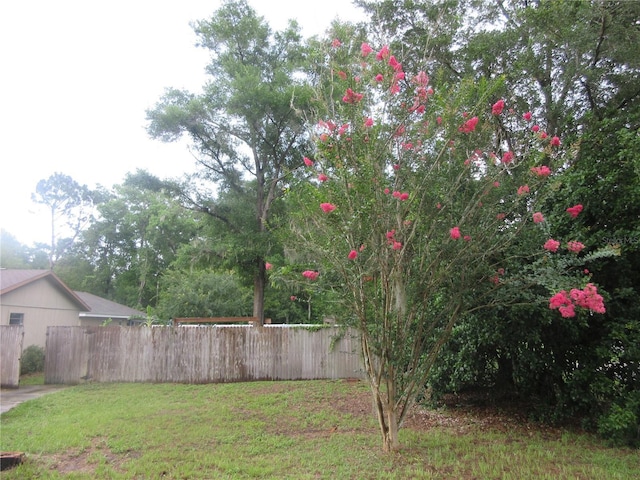 6141 NW 64th Ct, Ocala, FL 34482 - view of yard