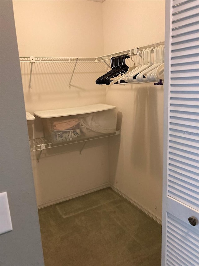 8450 SW 90th St Unit D, Ocala, FL 34481 - walk in closet featuring carpet flooring