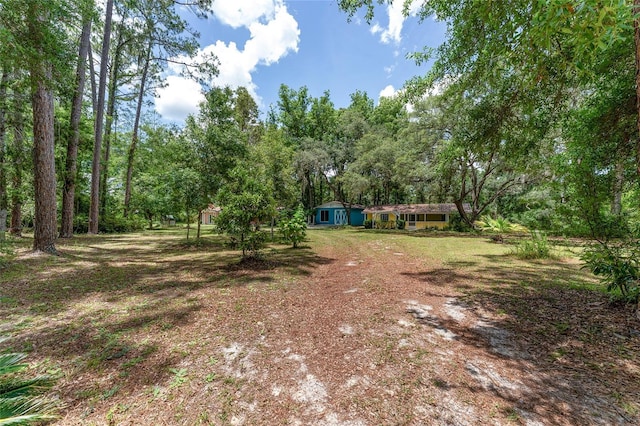 8441 NW 115th St, Chiefland, FL 32626 - photo 94