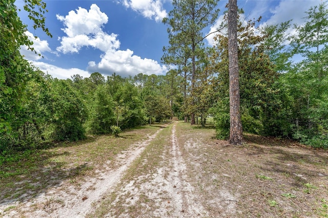8441 NW 115th St, Chiefland, FL 32626 - photo 96
