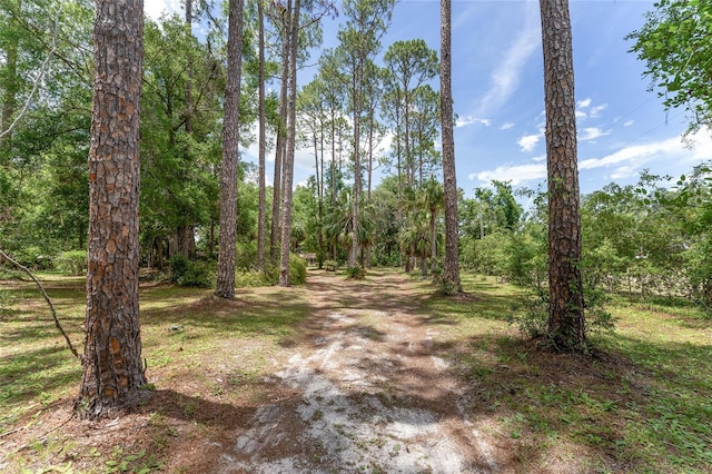 8441 NW 115th St, Chiefland, FL 32626 - photo 97