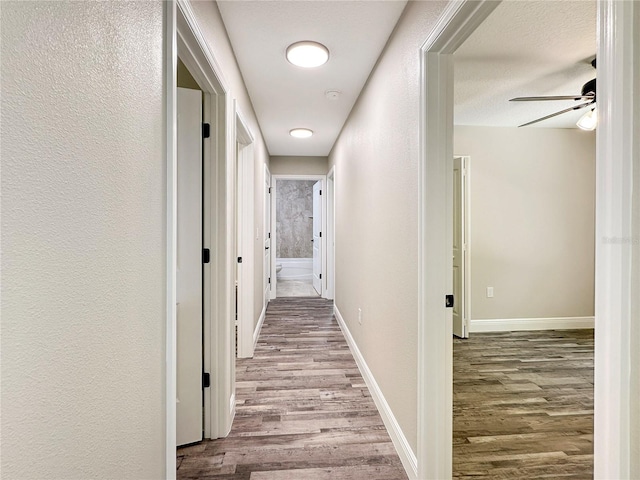 3679 E Bernice St, Inverness, FL 34453 - hallway with wood finished floors and baseboards