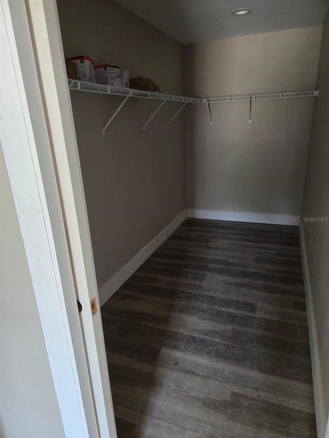 11139 N Sonnet Ter, Citrus Springs, FL 34433 - spacious closet with dark wood-style flooring