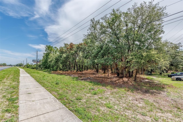 11254 Commercial Way, Weeki Wachee, FL 34614 - photo 4