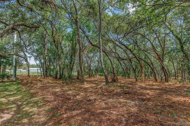 11254 Commercial Way, Weeki Wachee, FL 34614 - photo 5