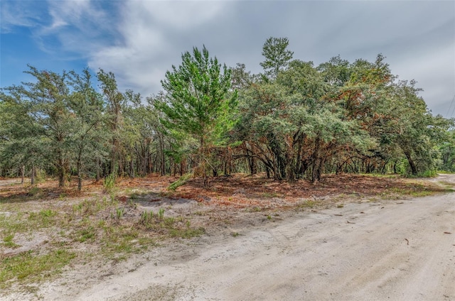 11254 Commercial Way, Weeki Wachee, FL 34614 - photo 6