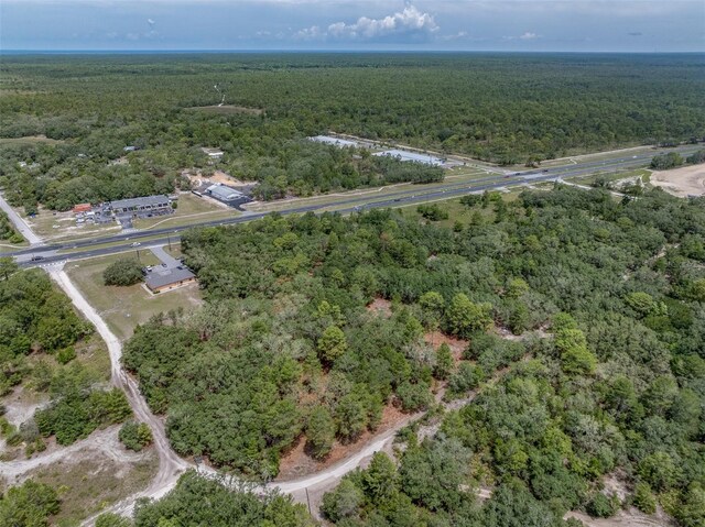 11254 Commercial Way, Weeki Wachee, FL 34614 - photo 9