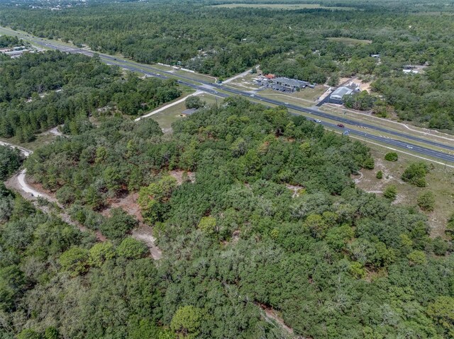 11254 Commercial Way, Weeki Wachee, FL 34614 - photo 11
