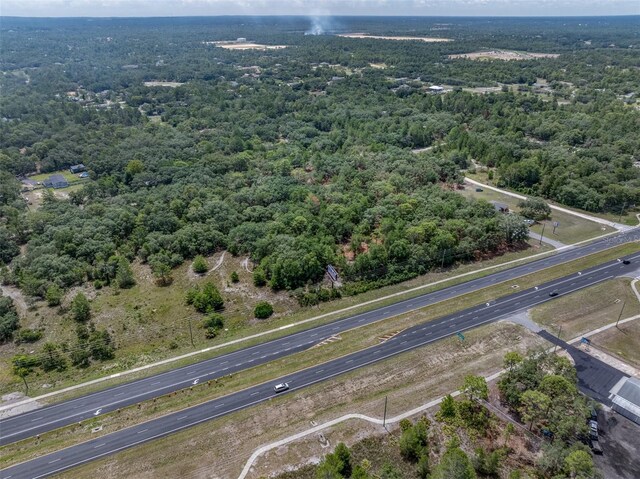11254 Commercial Way, Weeki Wachee, FL 34614 - photo 13