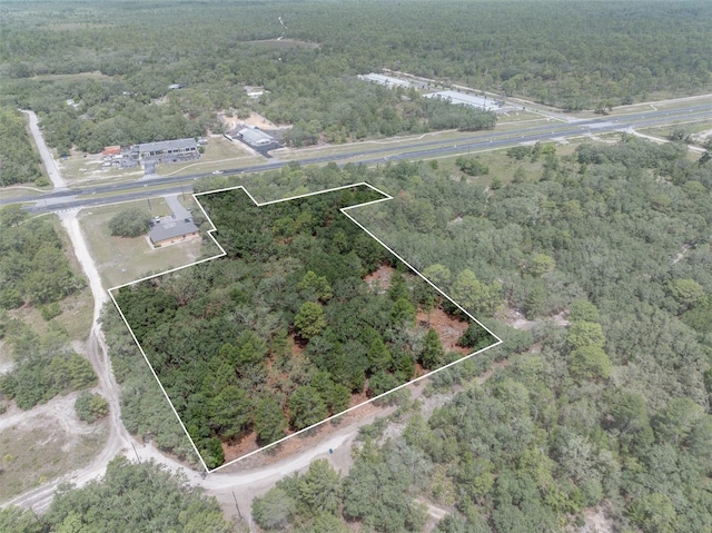 11254 Commercial Way, Weeki Wachee, FL 34614 - photo 19