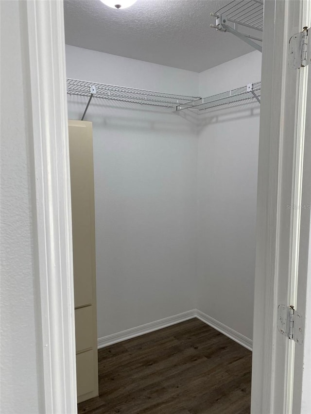3381 NW 44th Ct, Ocala, FL 34482 - walk in closet featuring dark wood-style floors