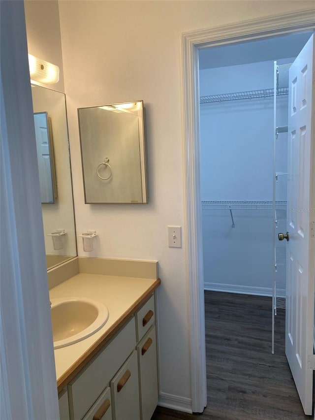 3381 NW 44th Ct, Ocala, FL 34482 - bathroom featuring vanity, wood finished floors, and a spacious closet