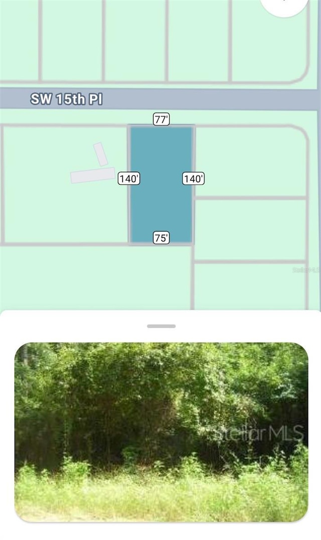 000 SW 15th Pl, Ocala, FL 34481