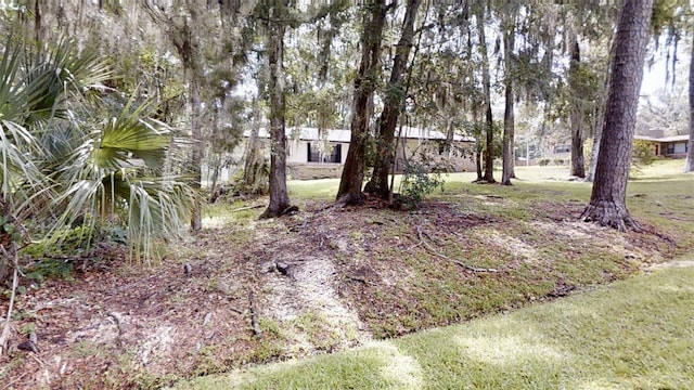 4121 SW 6th Ave, Ocala, FL 34471 - view of yard