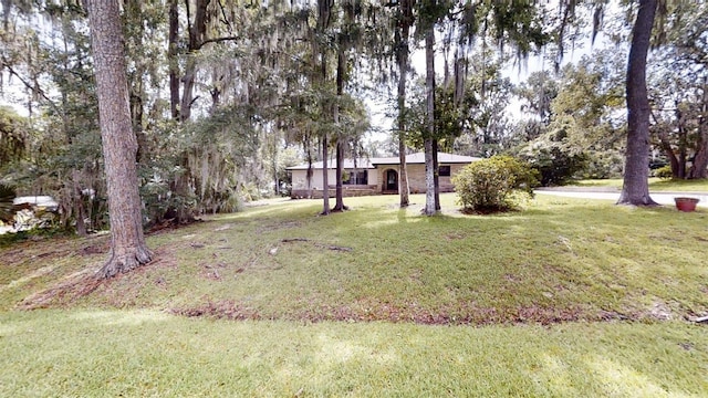 4121 SW 6th Ave, Ocala, FL 34471 - view of green lawn