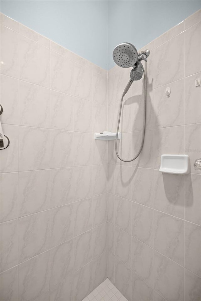 1824 W Zoe Ct, Lecanto, FL 34461 - full bath with a tile shower