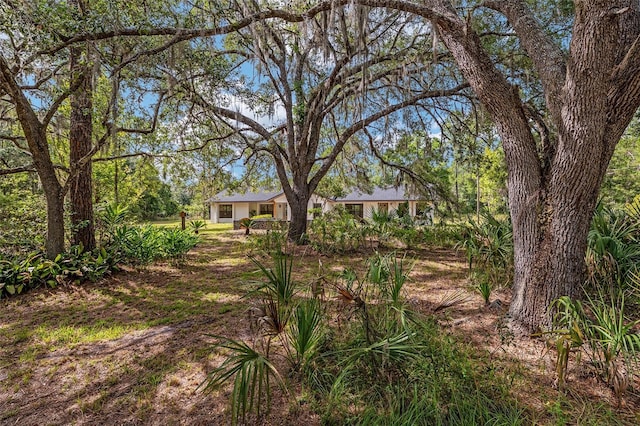 10351 SE 195th St, Inglis, FL 34449 - photo 2