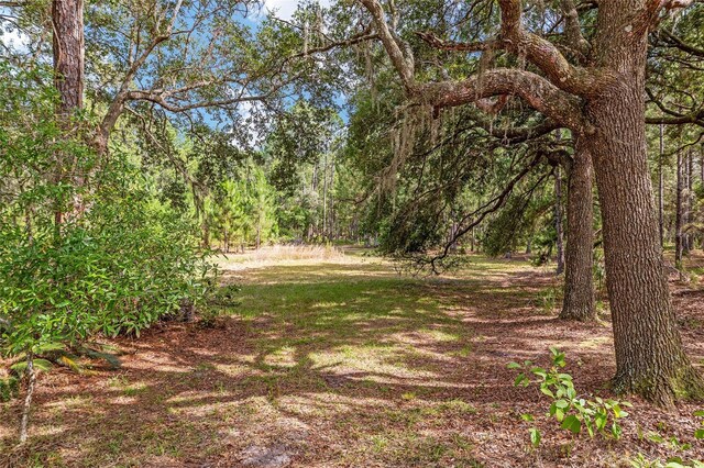 10351 SE 195th St, Inglis, FL 34449 - photo 6