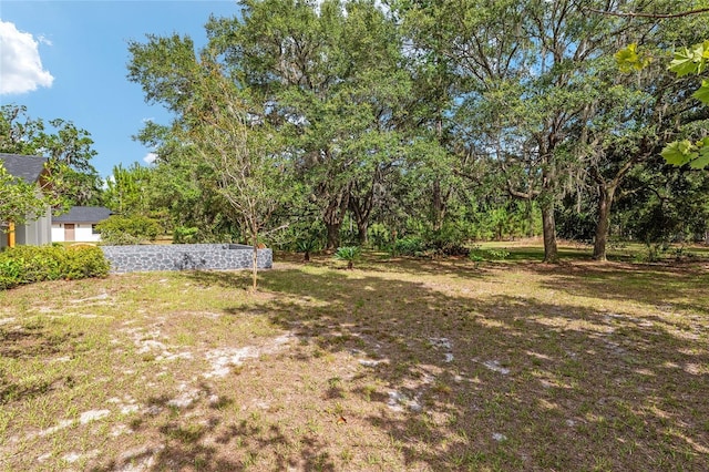10351 SE 195th St, Inglis, FL 34449 - photo 8