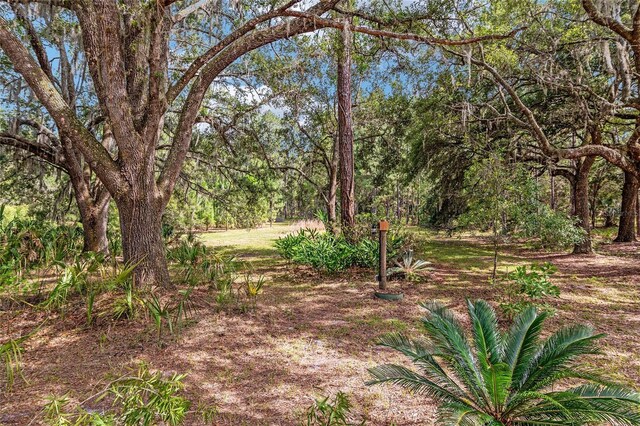 10351 SE 195th St, Inglis, FL 34449 - photo 9