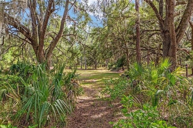 10351 SE 195th St, Inglis, FL 34449 - photo 11