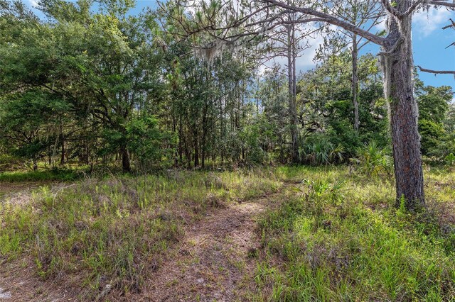 10351 SE 195th St, Inglis, FL 34449 - photo 71