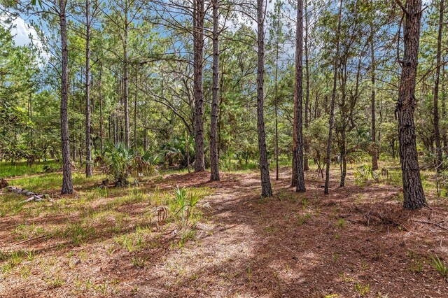 10351 SE 195th St, Inglis, FL 34449 - photo 79