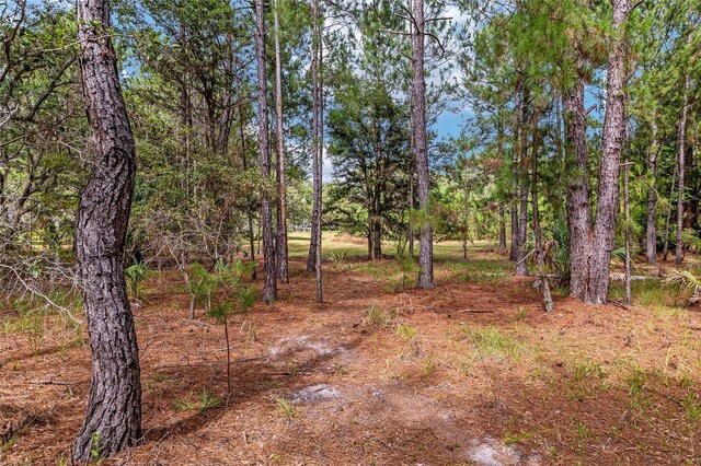 10351 SE 195th St, Inglis, FL 34449 - photo 80