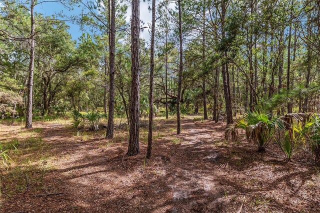 10351 SE 195th St, Inglis, FL 34449 - photo 82