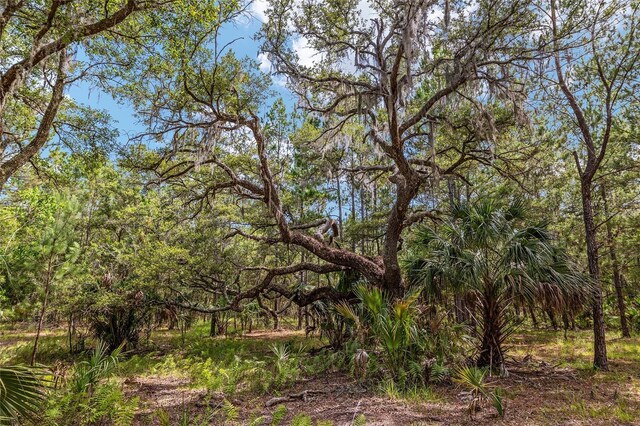 10351 SE 195th St, Inglis, FL 34449 - photo 83