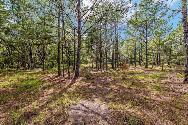 10351 SE 195th St, Inglis, FL 34449 - photo 84