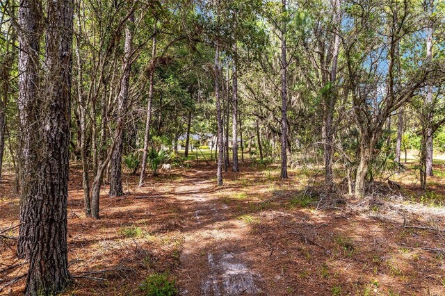 10351 SE 195th St, Inglis, FL 34449 - photo 85