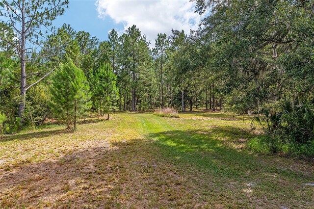 10351 SE 195th St, Inglis, FL 34449 - photo 88