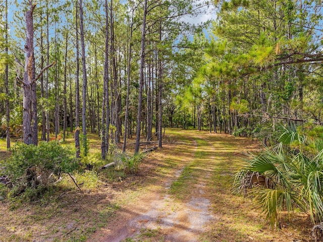10351 SE 195th St, Inglis, FL 34449 - photo 92