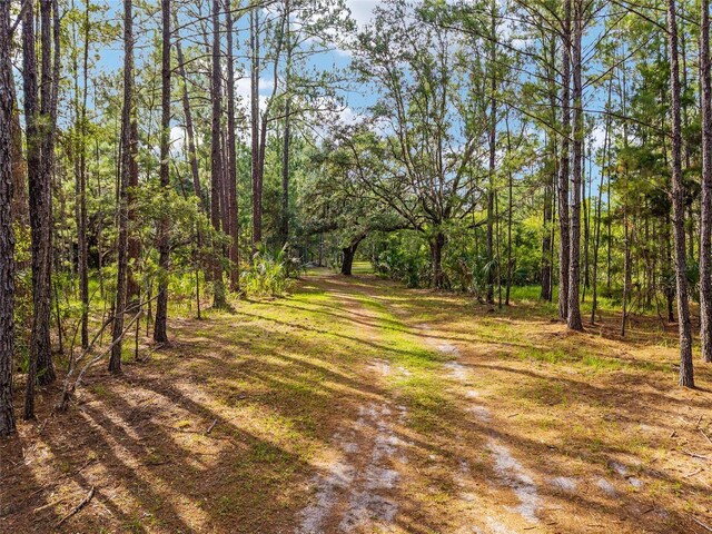 10351 SE 195th St, Inglis, FL 34449 - photo 93