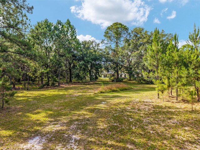 10351 SE 195th St, Inglis, FL 34449 - photo 94