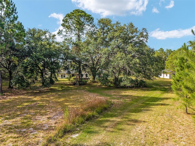 10351 SE 195th St, Inglis, FL 34449 - photo 95
