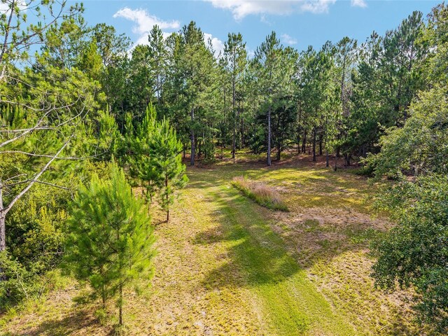 10351 SE 195th St, Inglis, FL 34449 - photo 96