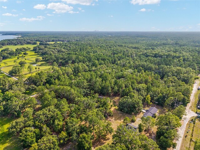10351 SE 195th St, Inglis, FL 34449 - photo 100