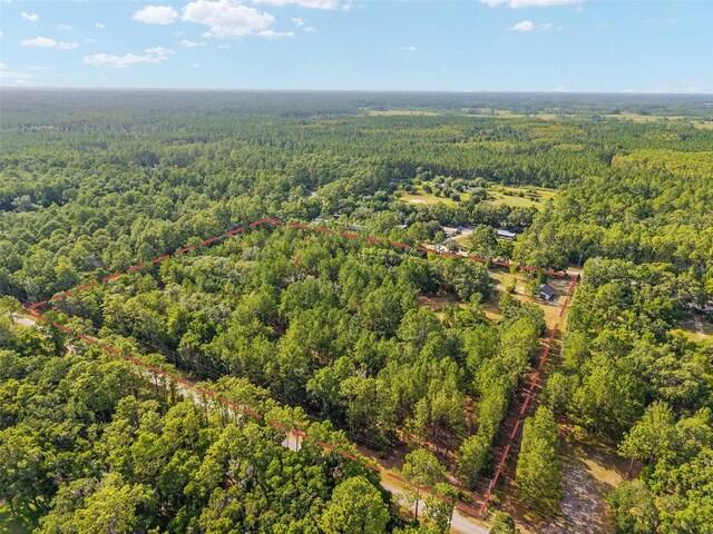 10351 SE 195th St, Inglis, FL 34449 - photo 91