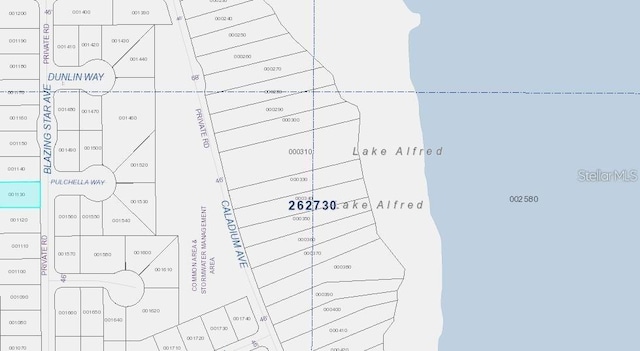 231 Blazing Star Ave, Lake Alfred, FL 33850